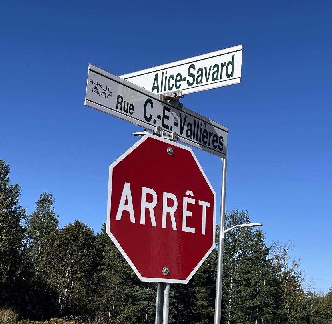 rue_alice.jpg (316 KB)