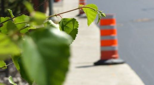 Cure de jeunesse pour le stationnement municipal de la rue Saint-Anne et réfection de la voie