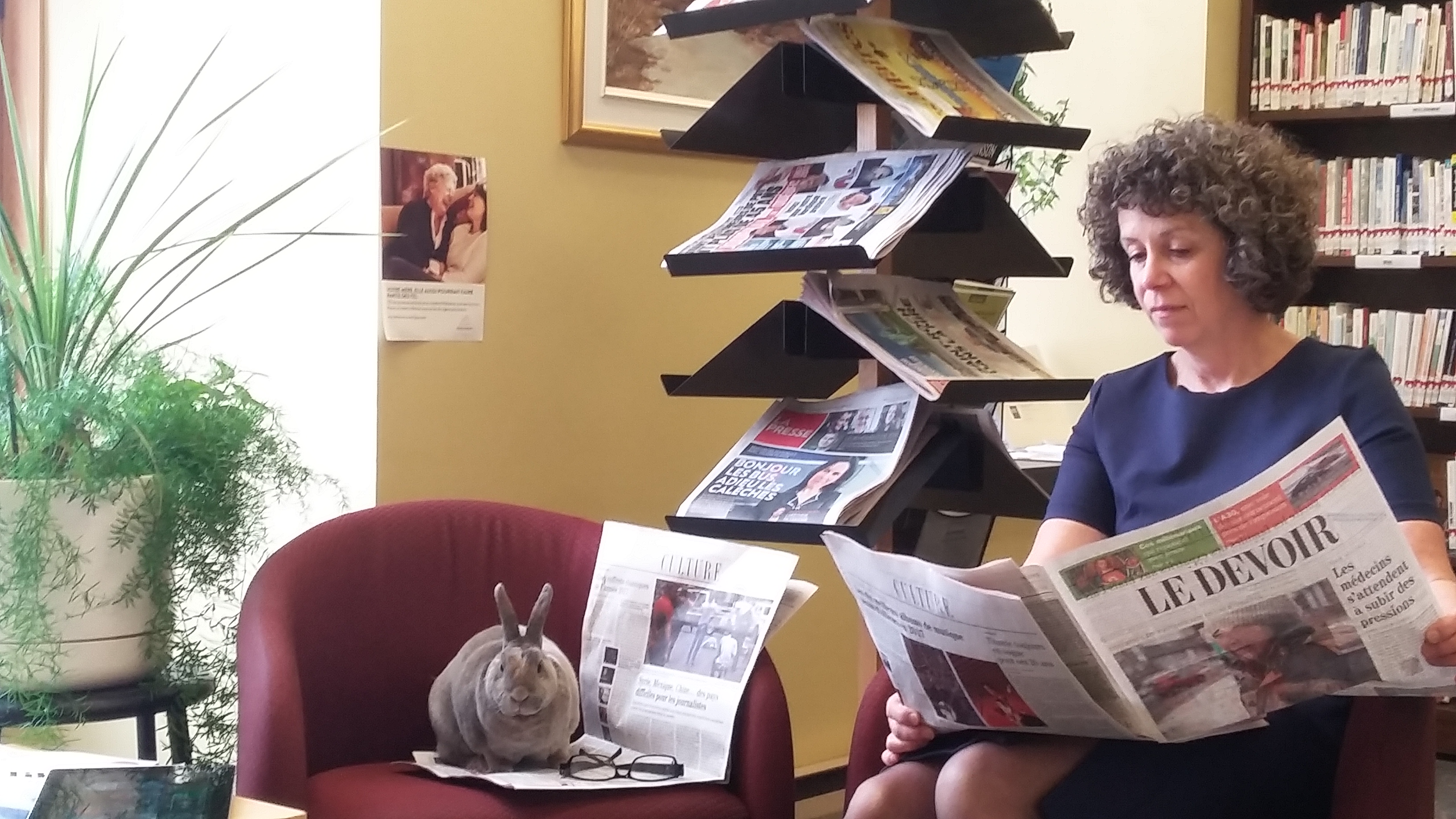 Concours littéraire : la bibliothèque invite les citoyens à la mener en bateau!
