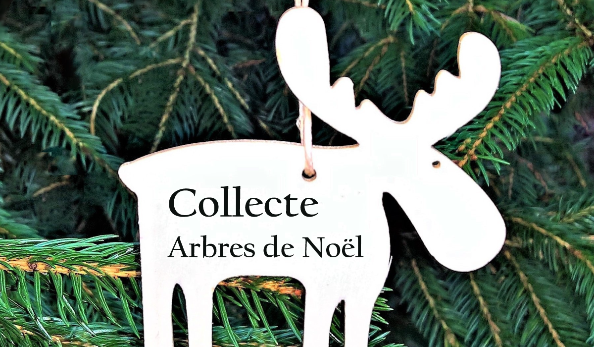 Modifications aux collectes régulières et tenue d’une collecte spéciale des sapins de Noël