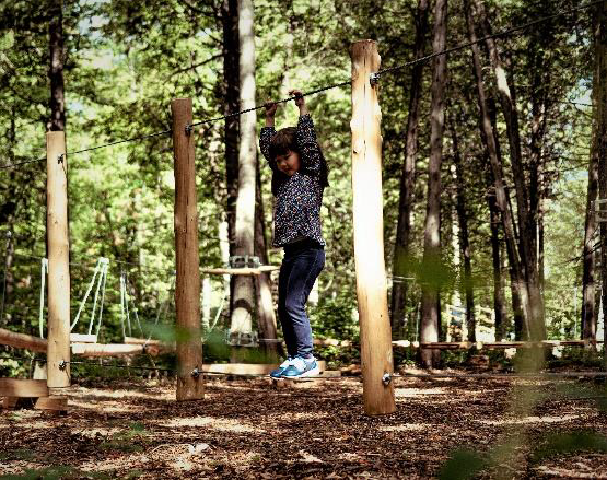 Projet gagnant du budget participatif 2021 : La Ville de Rivière-du-Loup débute l’aménagement d’un tout nouveau parcours d’hébertisme au parc des Chutes